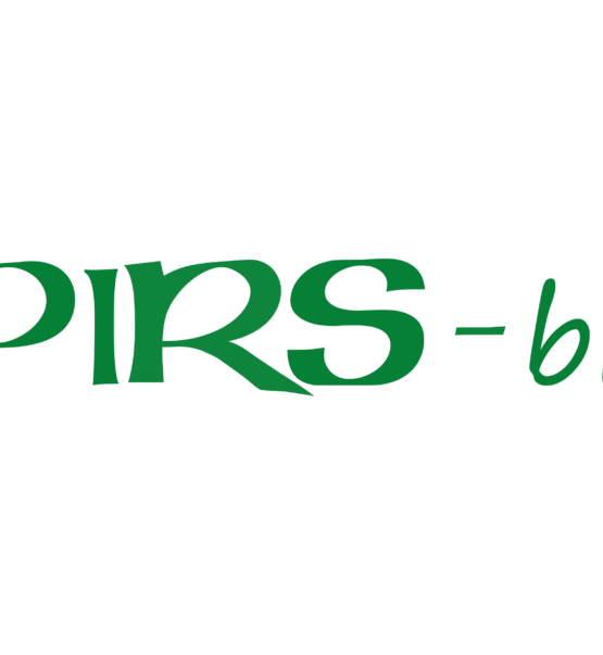 PIRS-bis